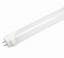 T8 LED Tubos